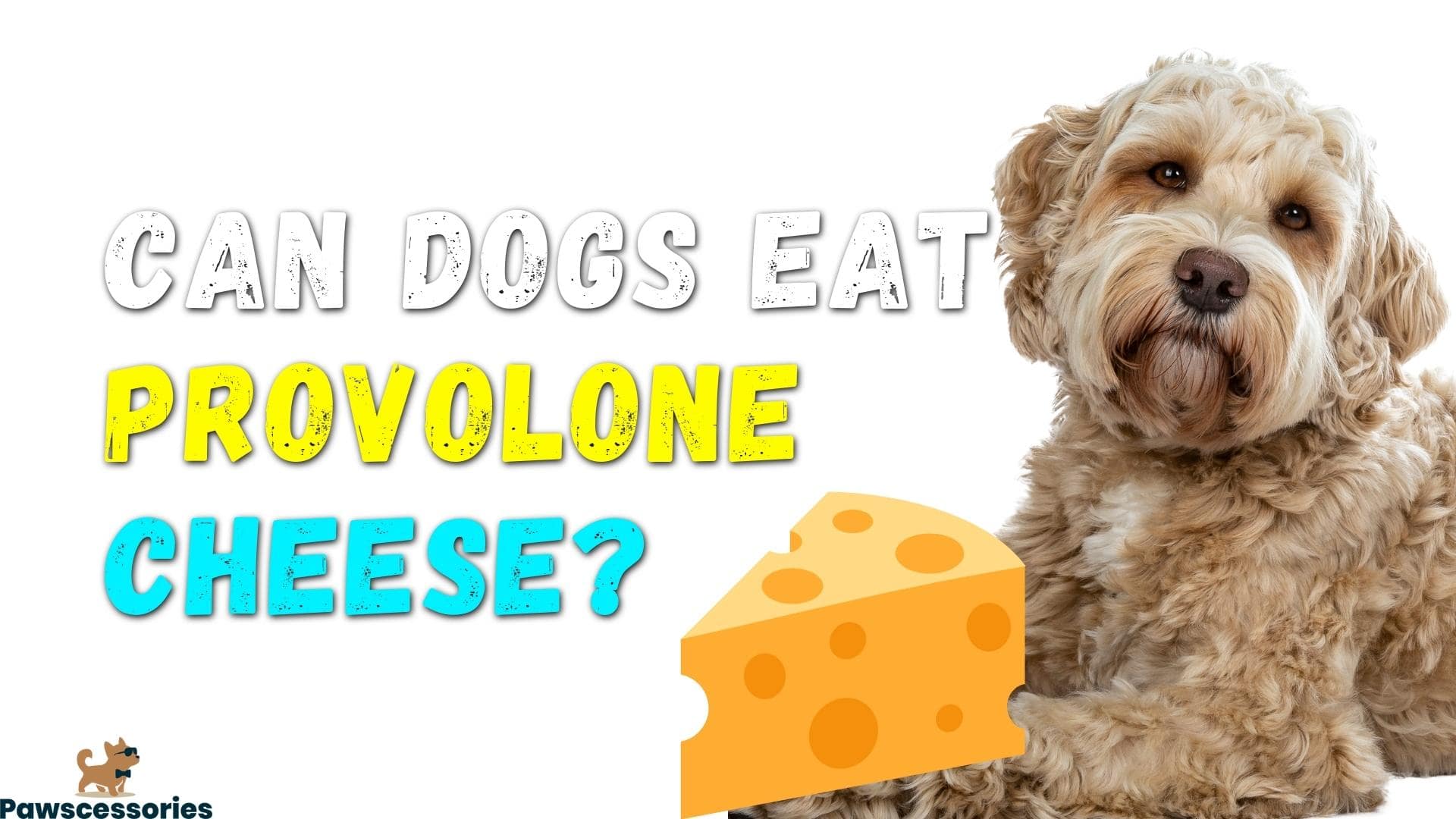Can Dogs Eat Provolone Cheese? Dangers & Vet Advice