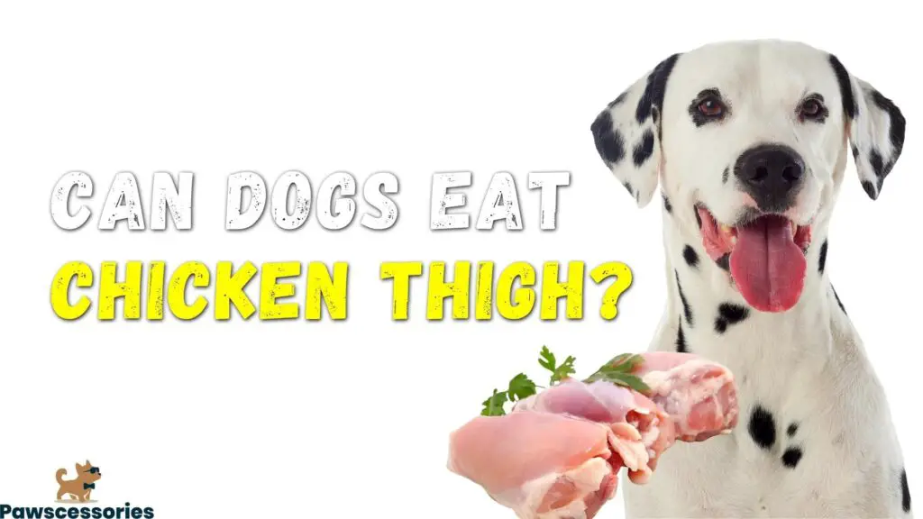 Can Dogs Eat Chicken Thighs