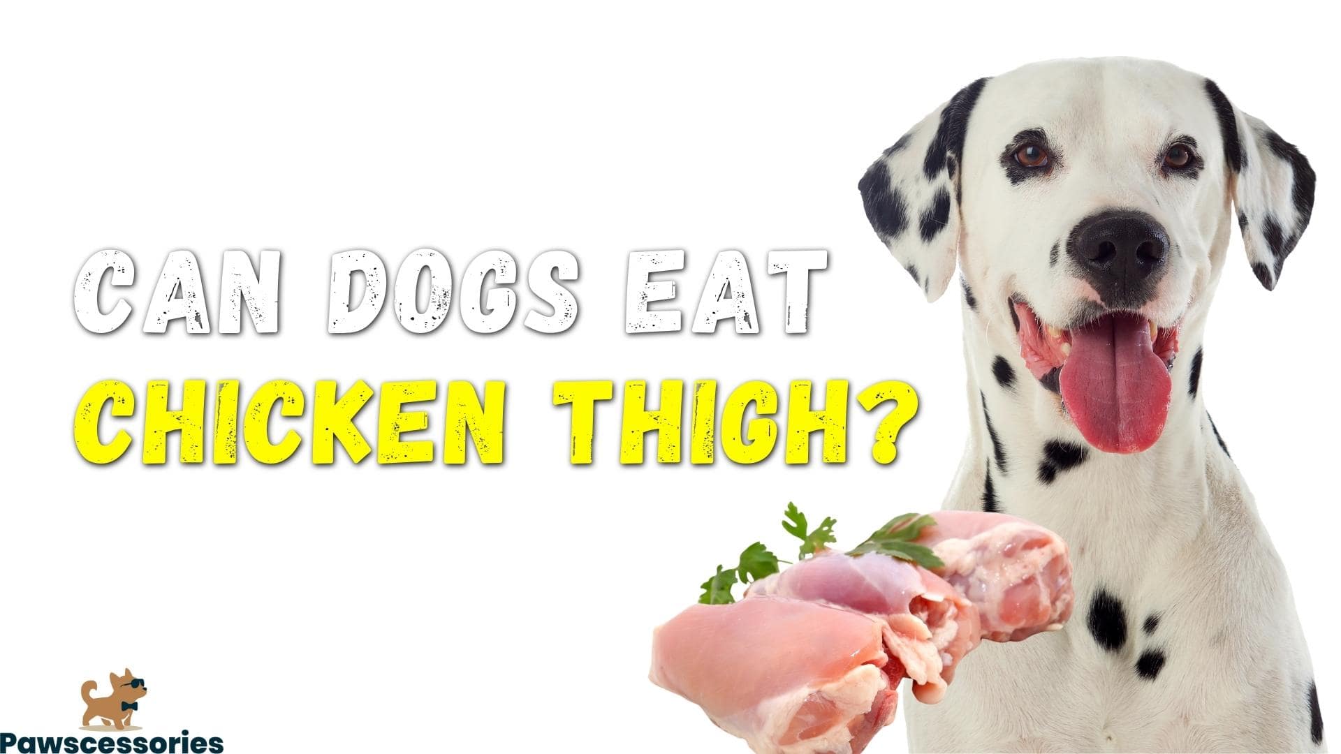 Can Dogs Eat Chicken Thighs? Benefits & Dangers (From A Vet)