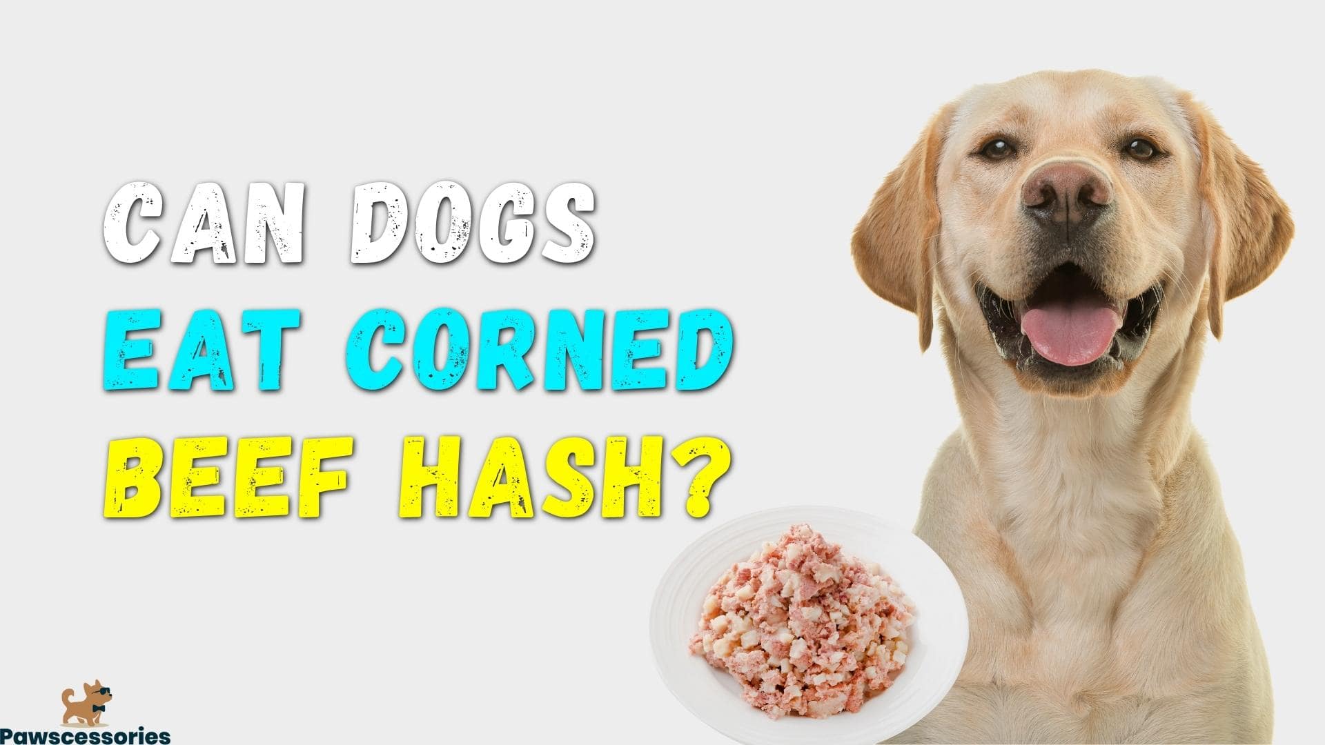 Can Dogs Eat Corned Beef Hash? Dangers + Tips If They Do