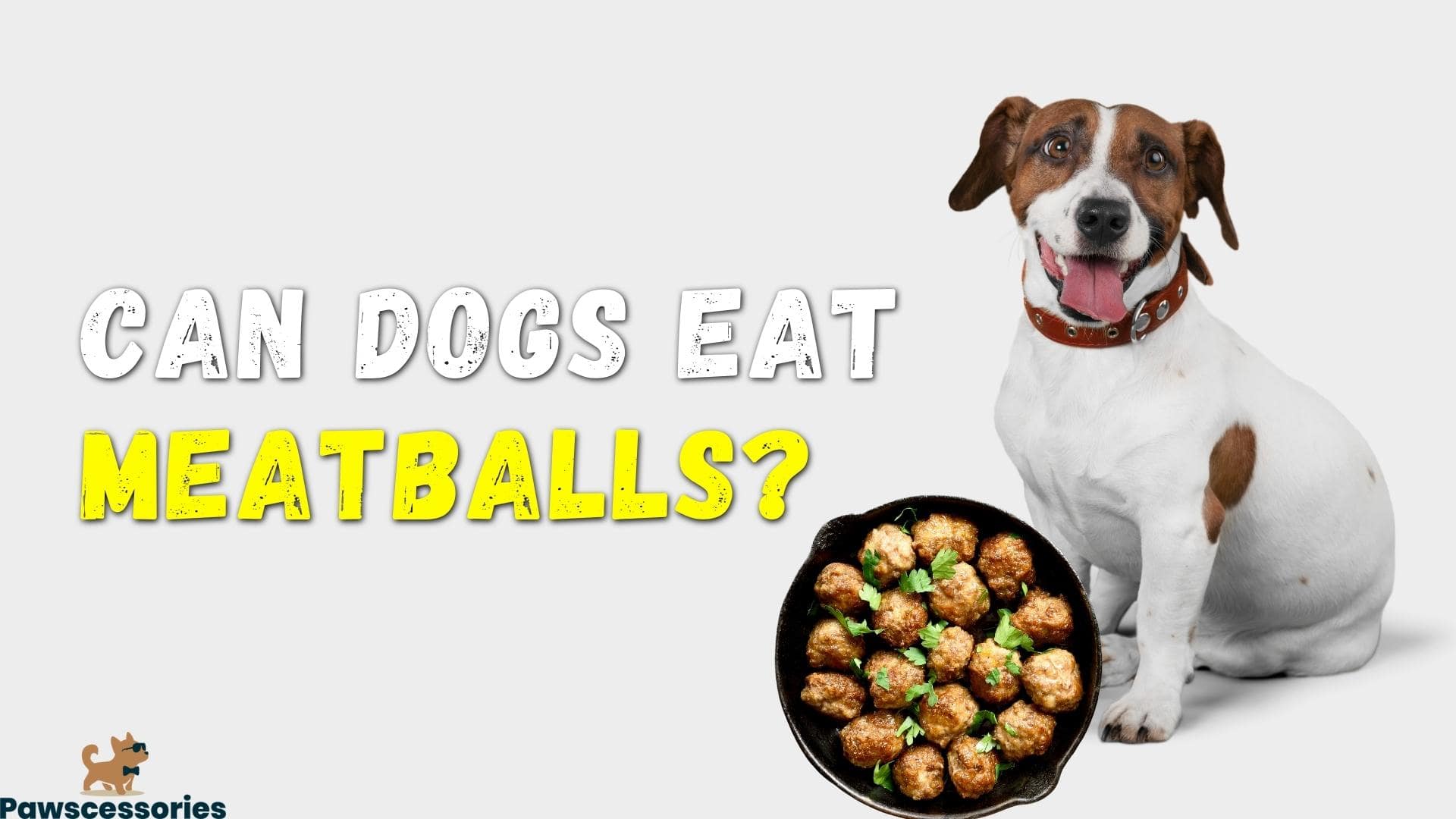 Can Dogs Eat Meatballs? (We Asked A Vet)