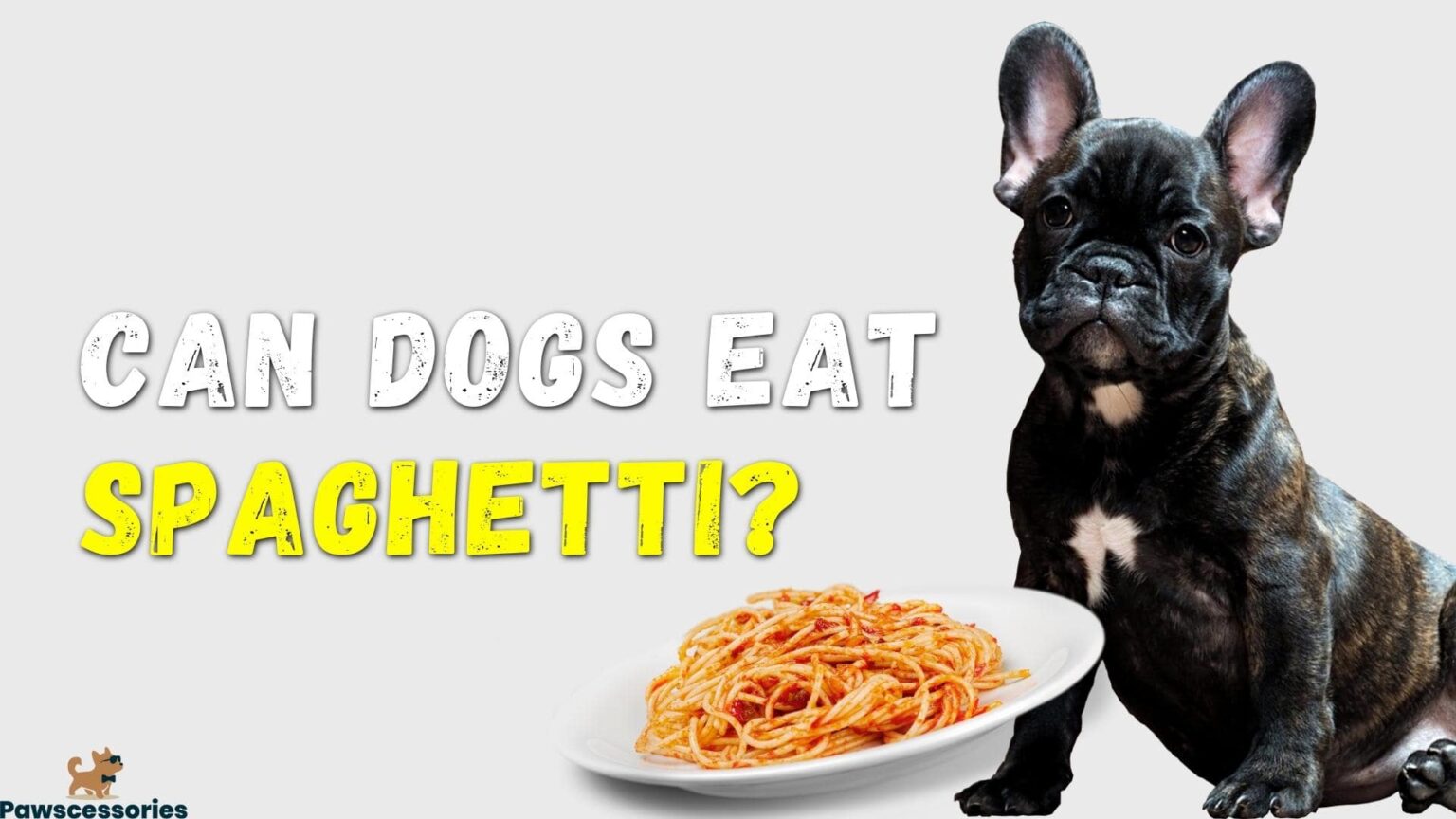 Can Dogs Eat Spaghetti & Meatballs? (We Asked a Vet)