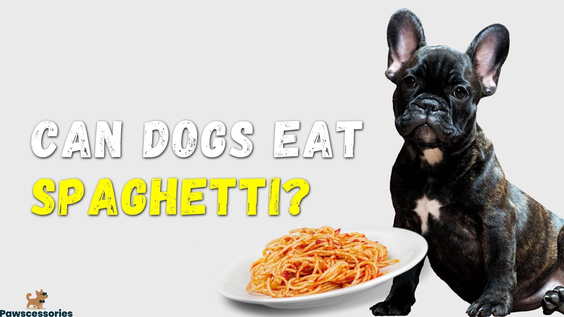 Can Dogs Eat Spaghetti