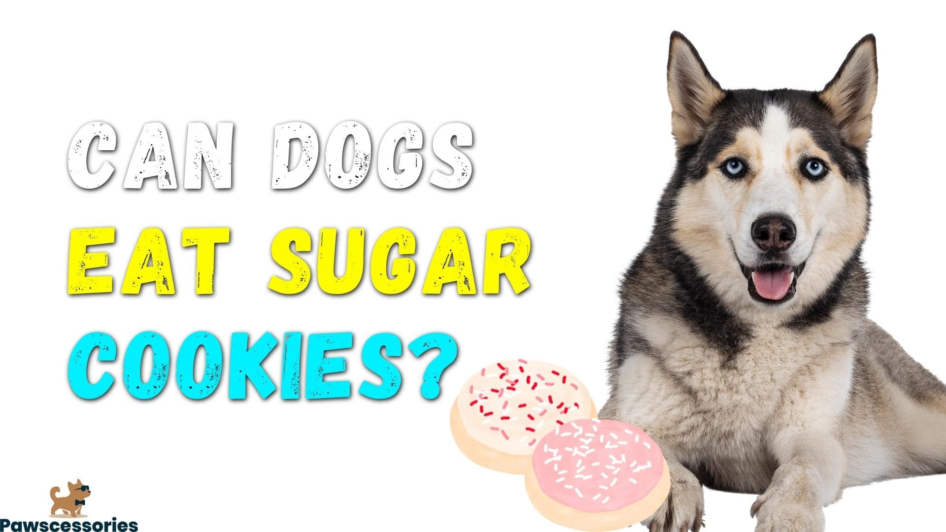 Can Dogs Eat Sugar Cookies? (We Spoke With A Vet)