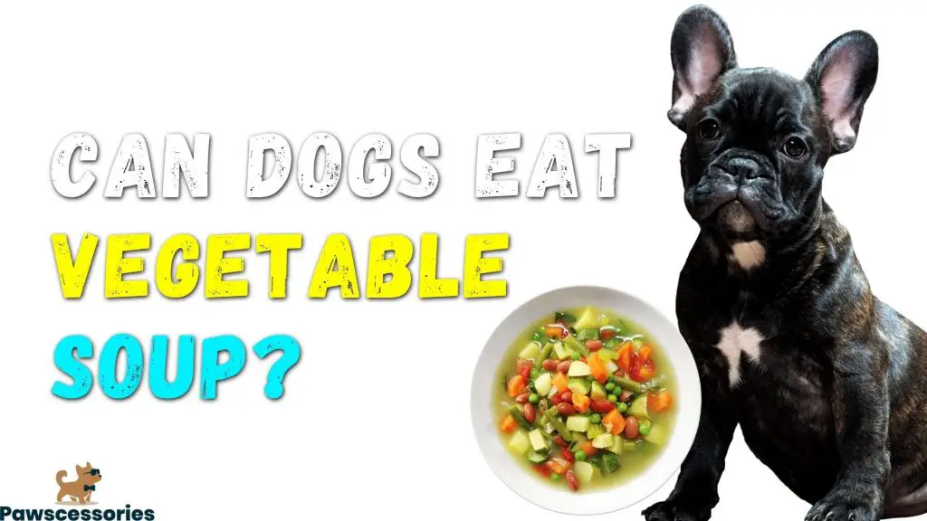Can Dogs Eat Vegetable Soup