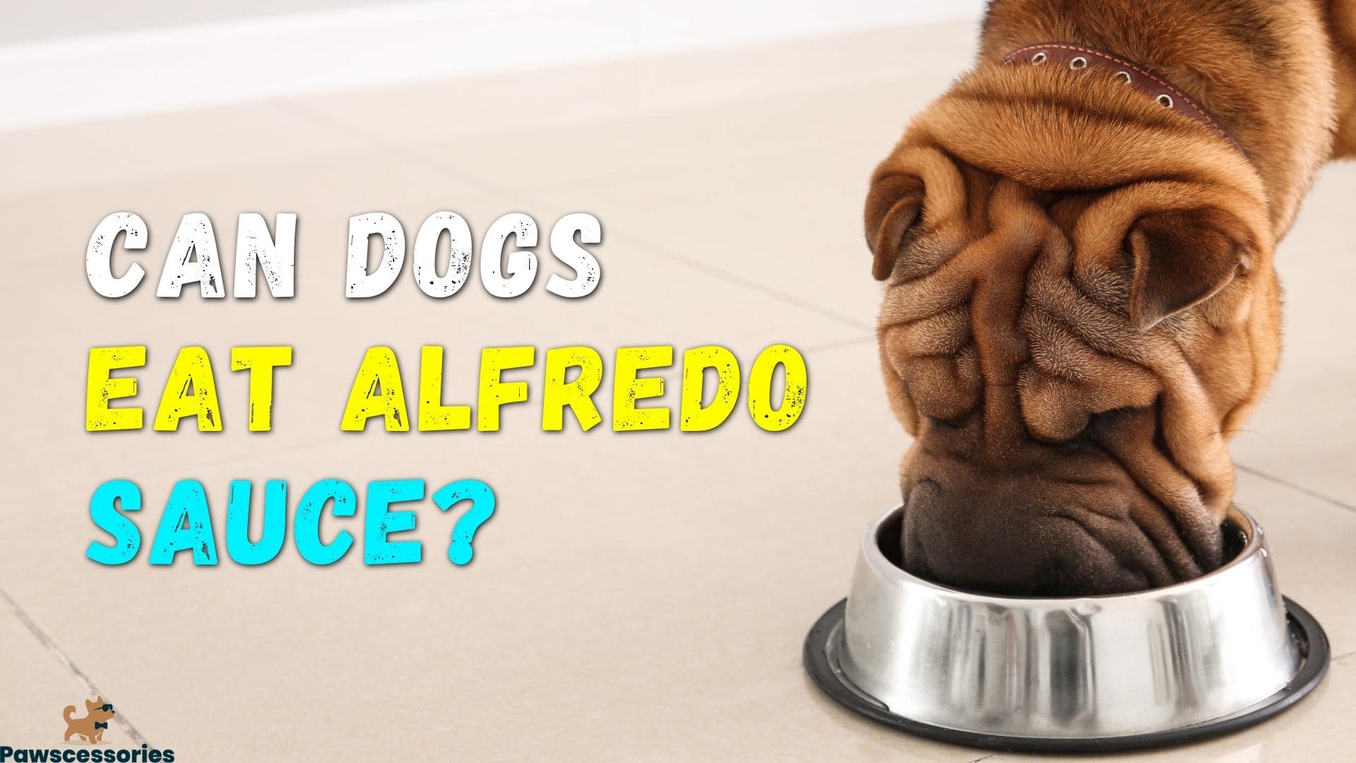 Can Dogs Eat Alfredo Sauce? 4 Dangers (We Asked A Vet)