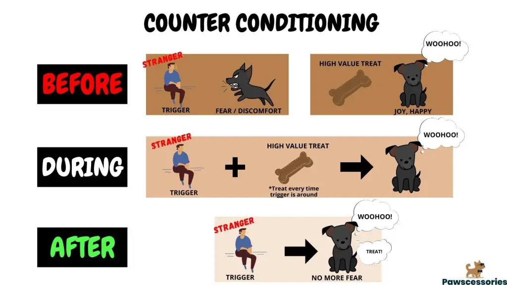 Counter Conditioning Dog Training