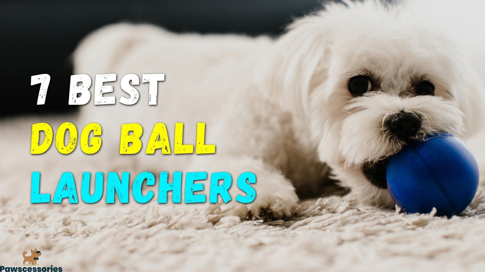 best dog ball launcher