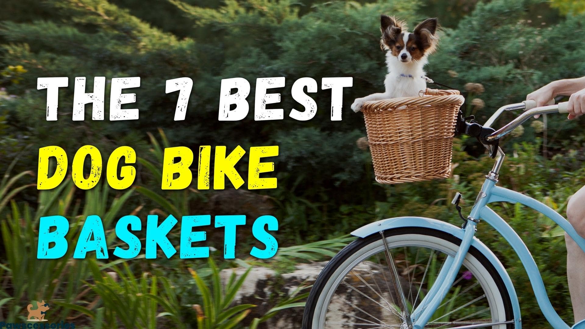 Dog Basket For Bike: 7 Top Picks For Safe Bike Riding With Dogs