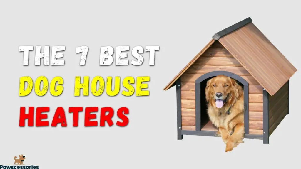 best dog house heater
