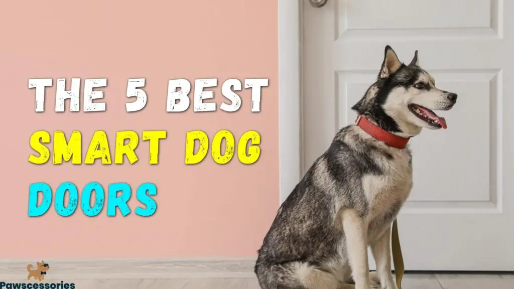 best smart dog doors