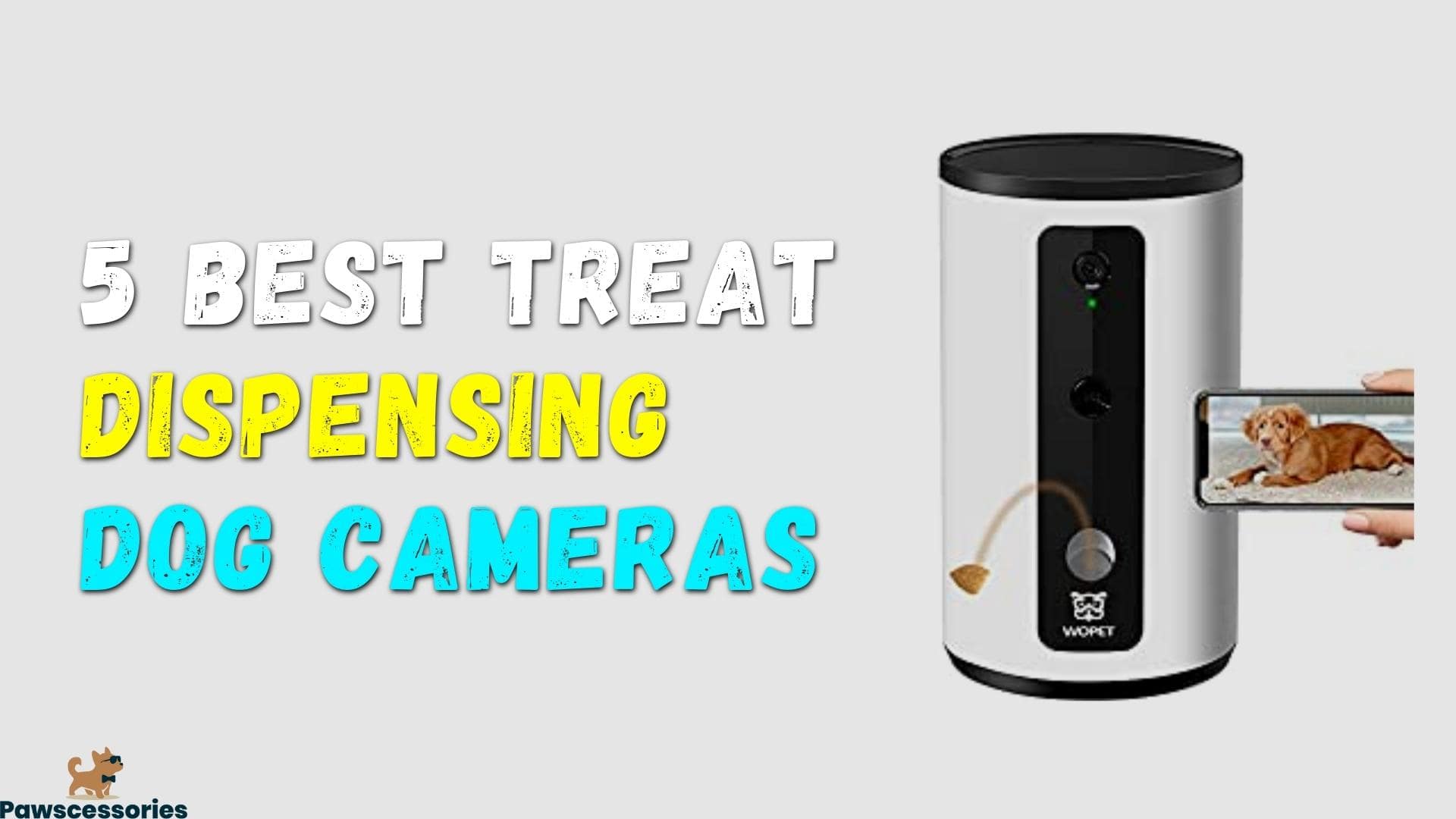 5 Best Treat-Dispensing Dog Camera Picks In 2022 (Top Rated)