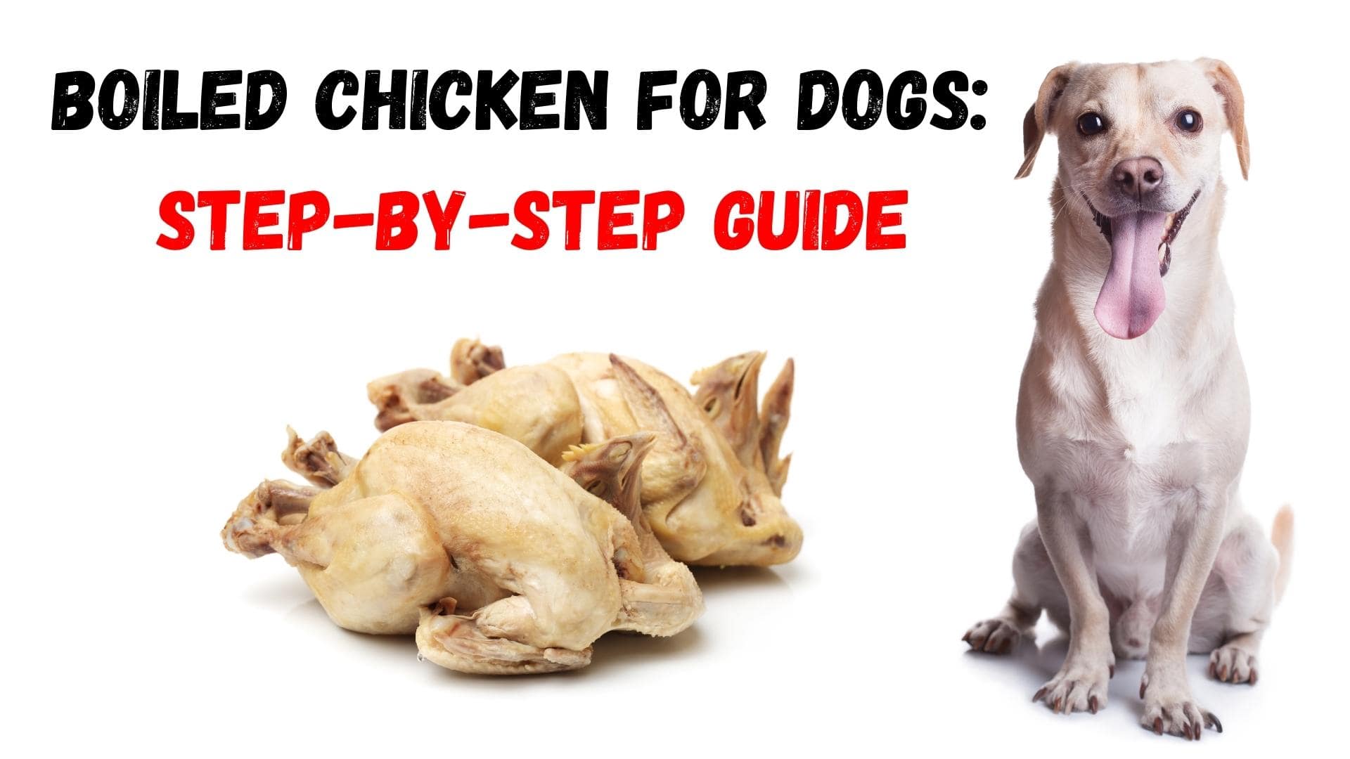Boiled Chicken For Dogs: Complete How-To Guide!