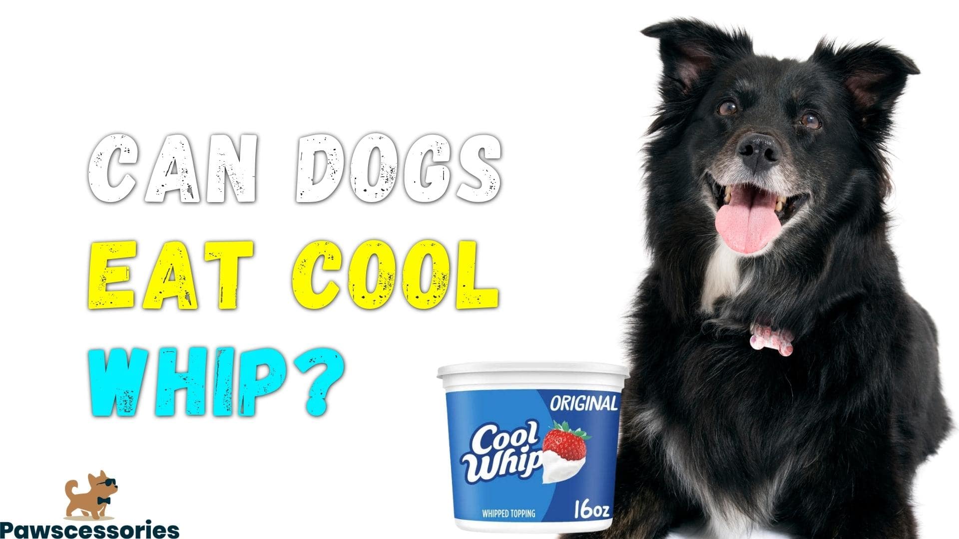 can dogs eat cool whip