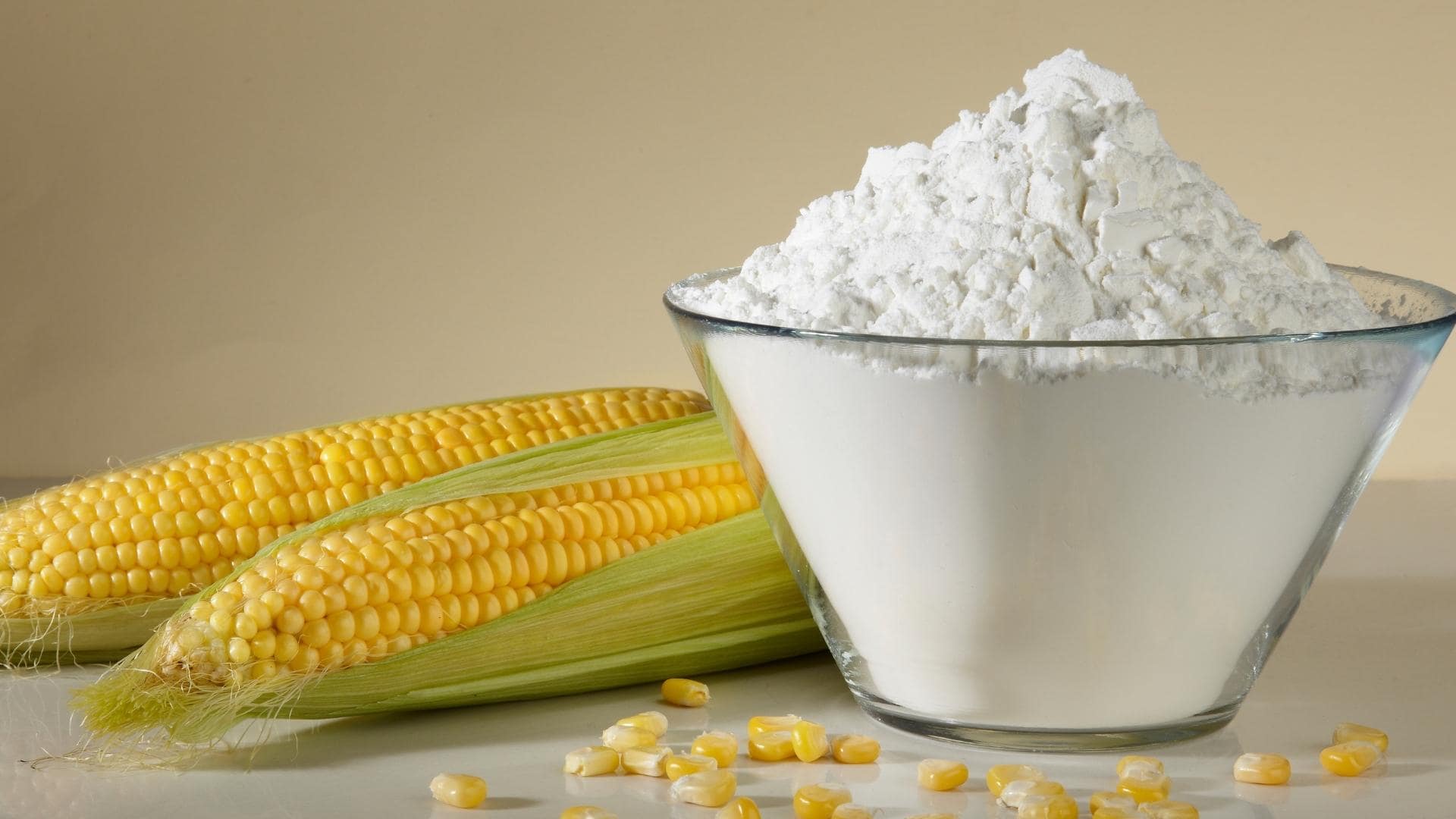 Can Dogs Eat Corn Starch? Benefits & Risks (Vet Answers)