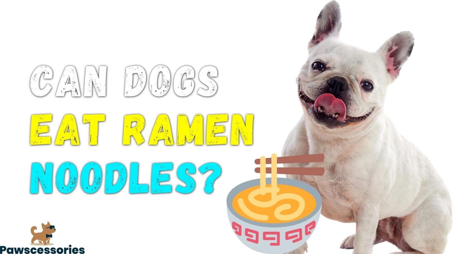 Can Dogs Eat Ramen Noodles? Raw, Instant, or Cooked?