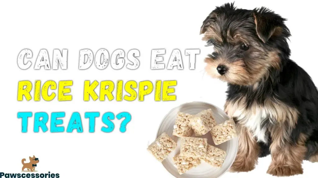 can dogs eat rice krispie treats