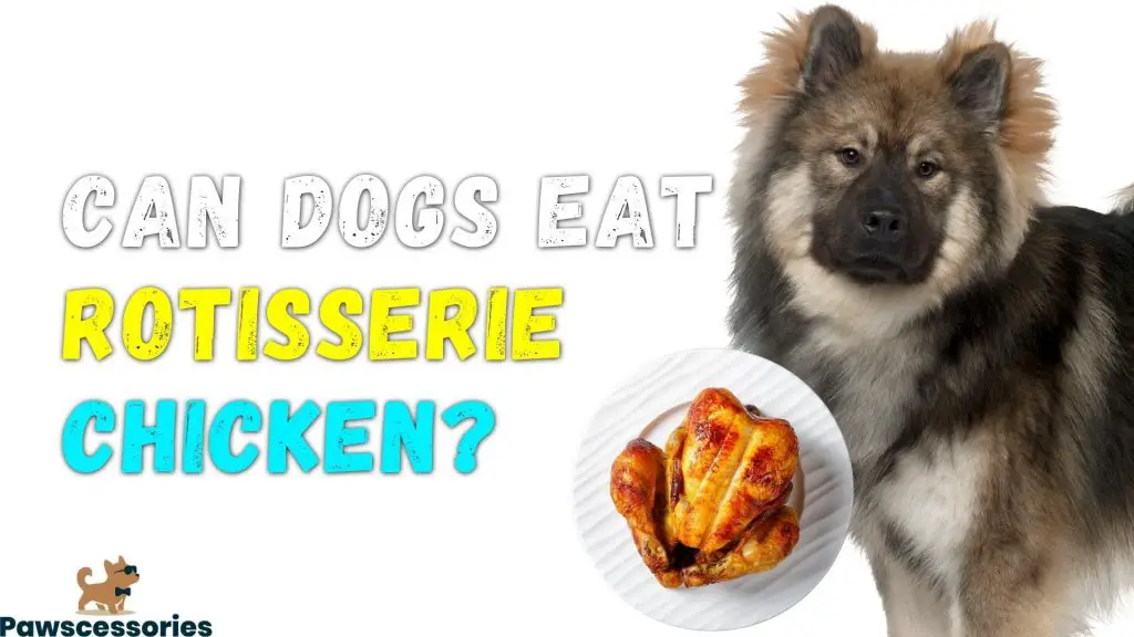 can dogs eat rotisserie chicken