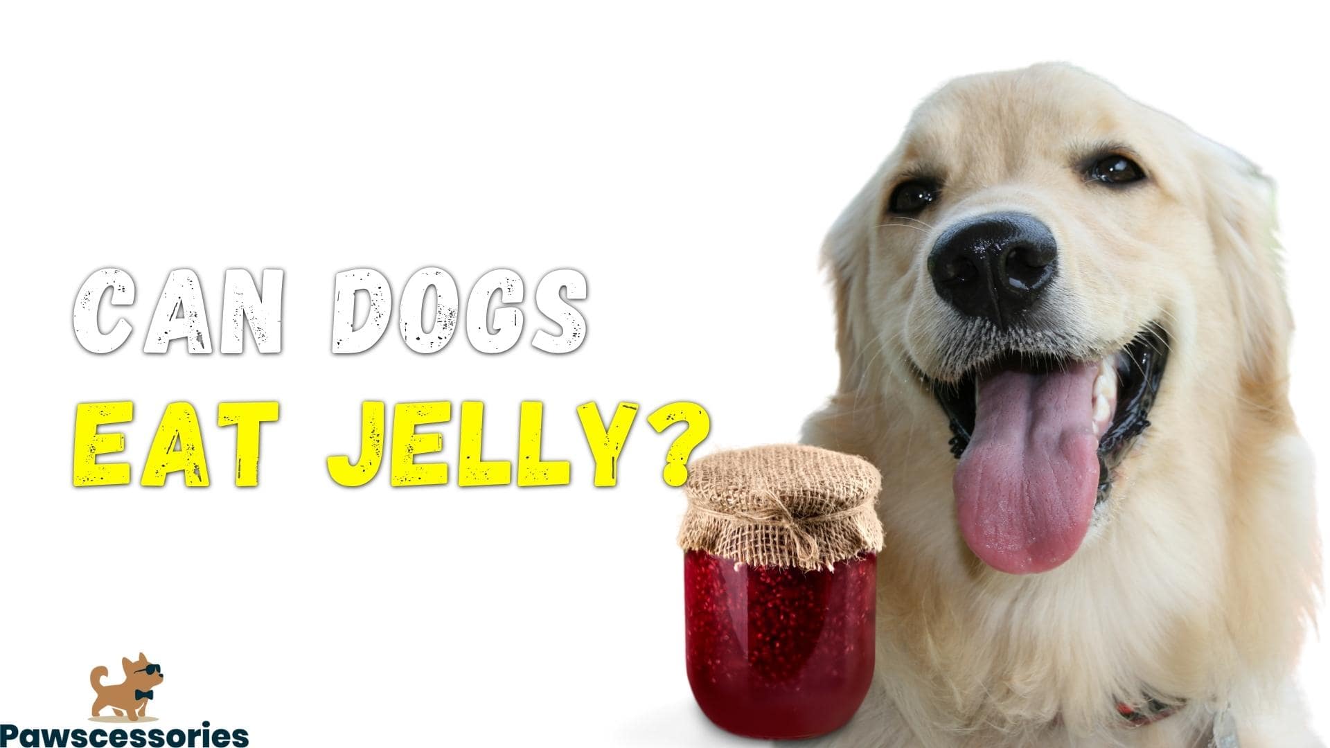 can dogs eat jelly