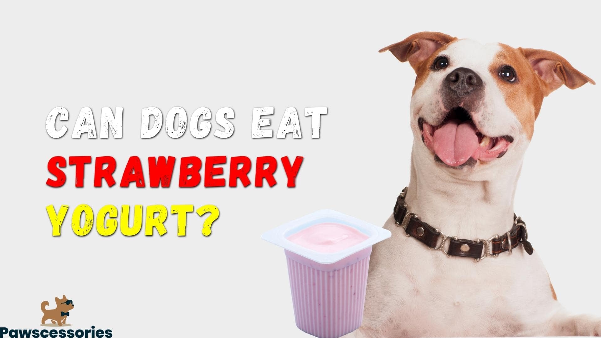 can-dogs-eat-strawberry-yogurt-we-asked-vets-for-advice-2022