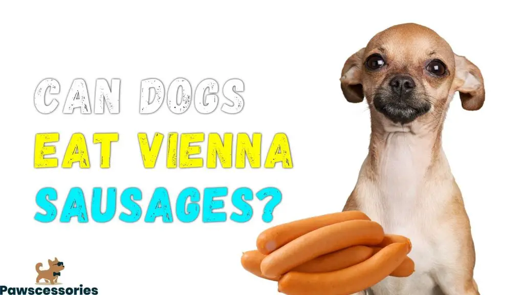 can dogs eat vienna sausages