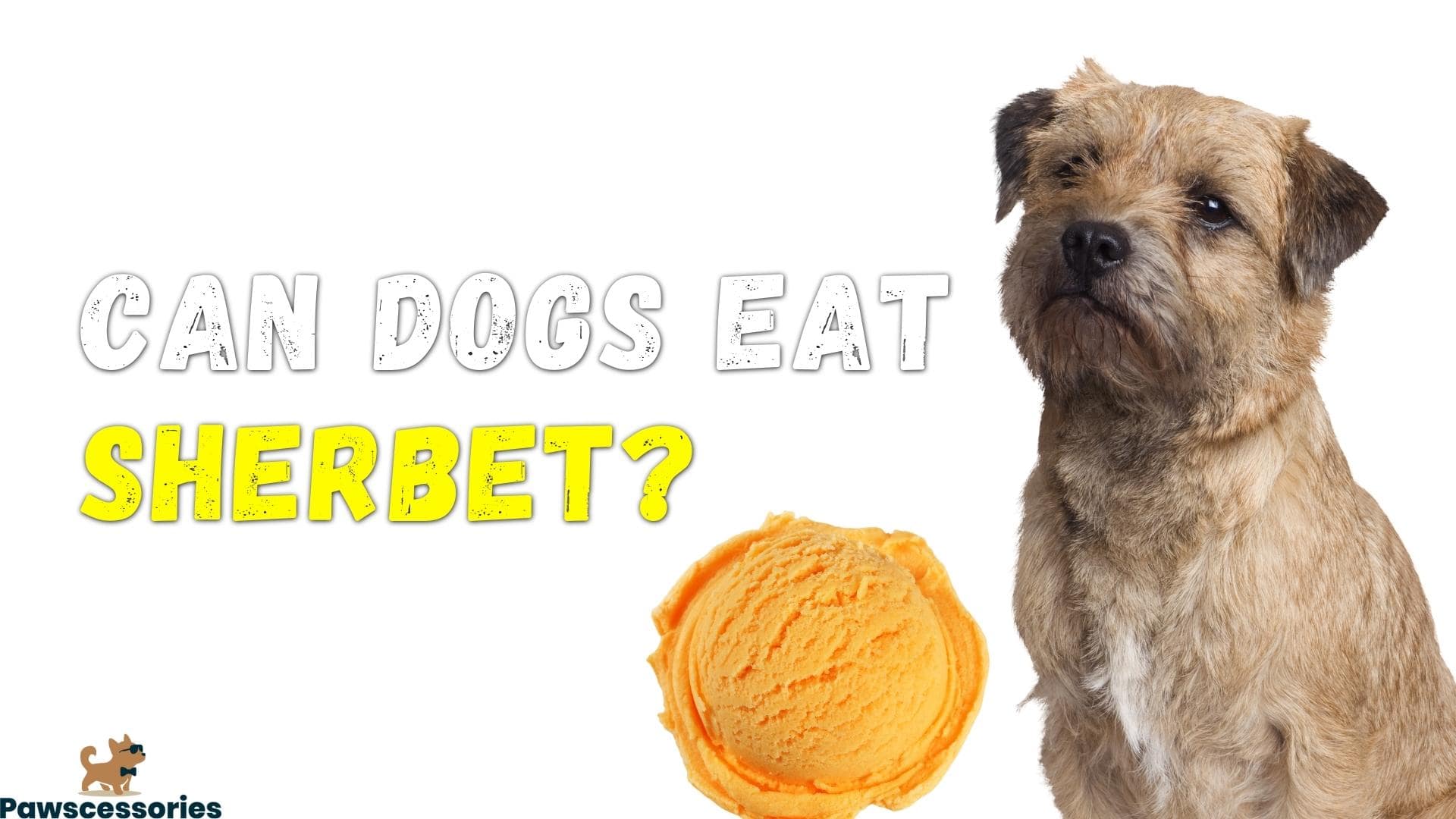 Can Dogs Eat Sherbet? Dangers + Tips If They Do (Vet Answers)