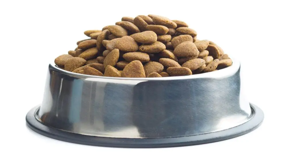 dog food for great dane doberman mix