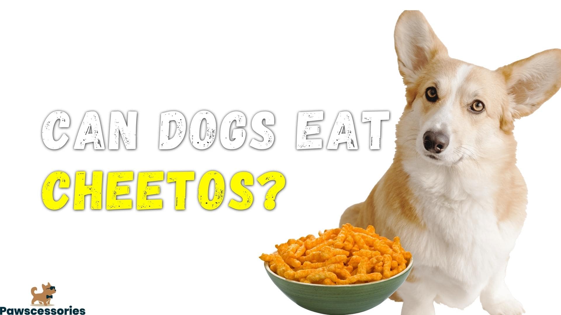 can dogs eat cheetos