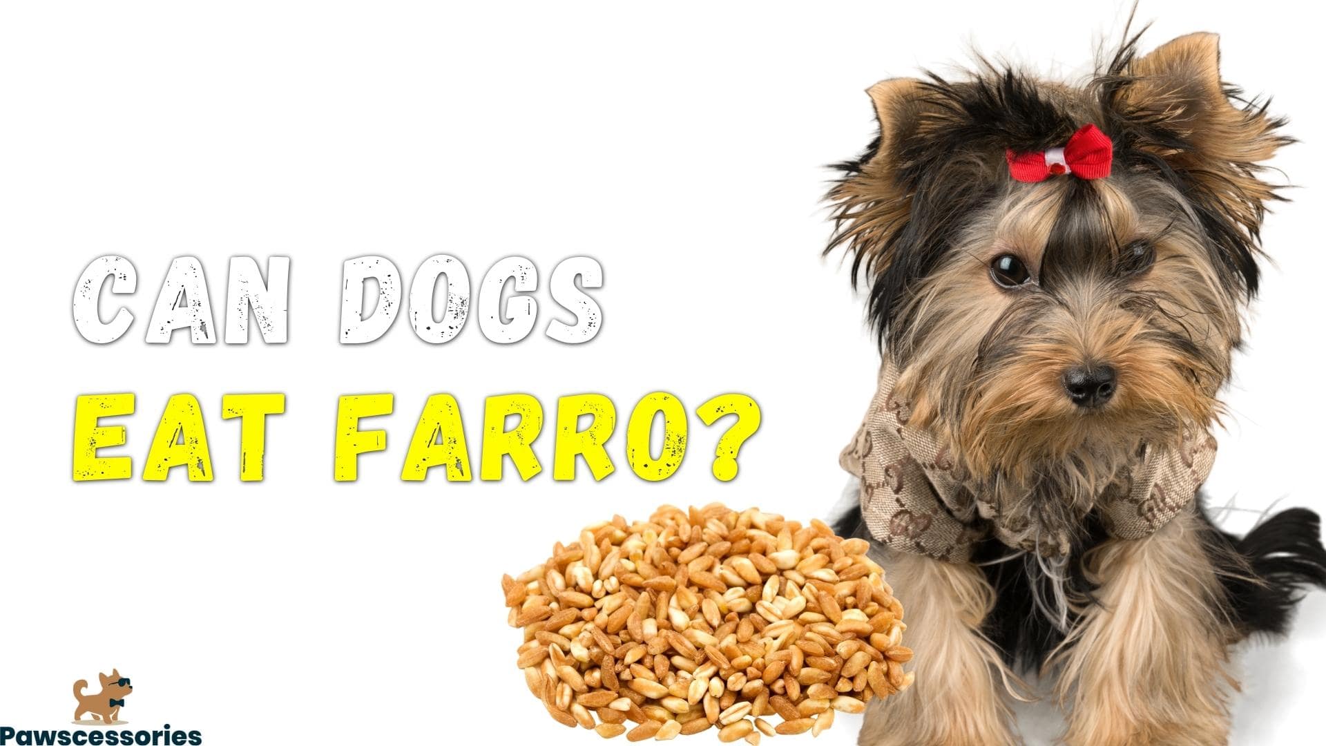 can dogs eat farro