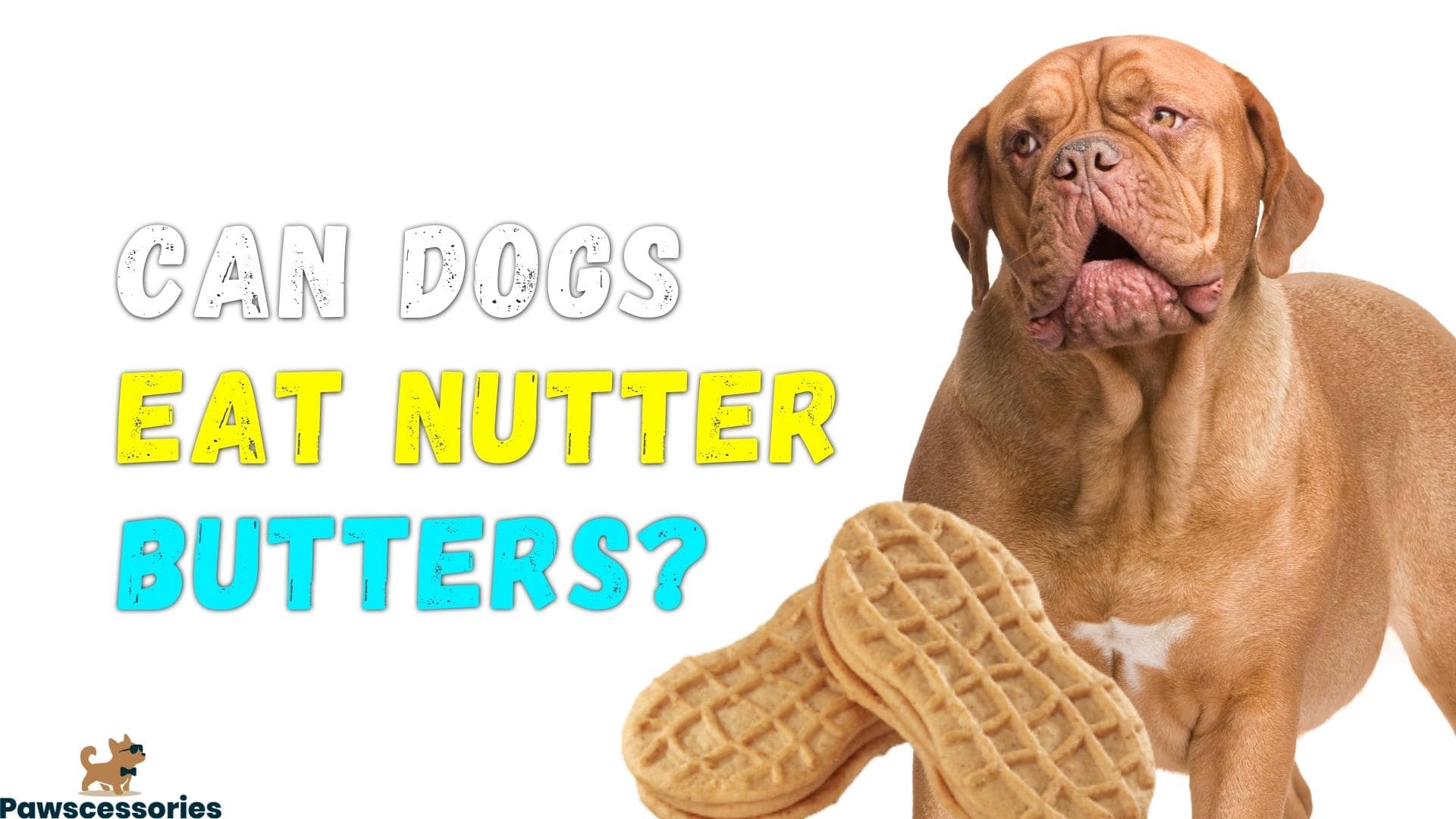 Can Dogs Eat Nutter Butters? 3 Dangers & Tips If They Do