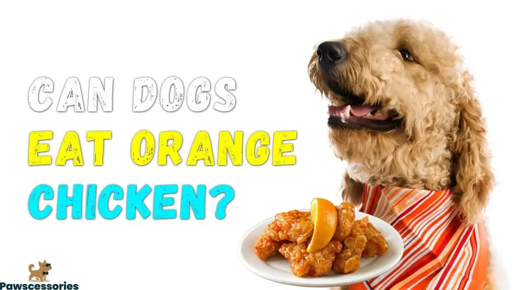 can dogs eat orange chicken