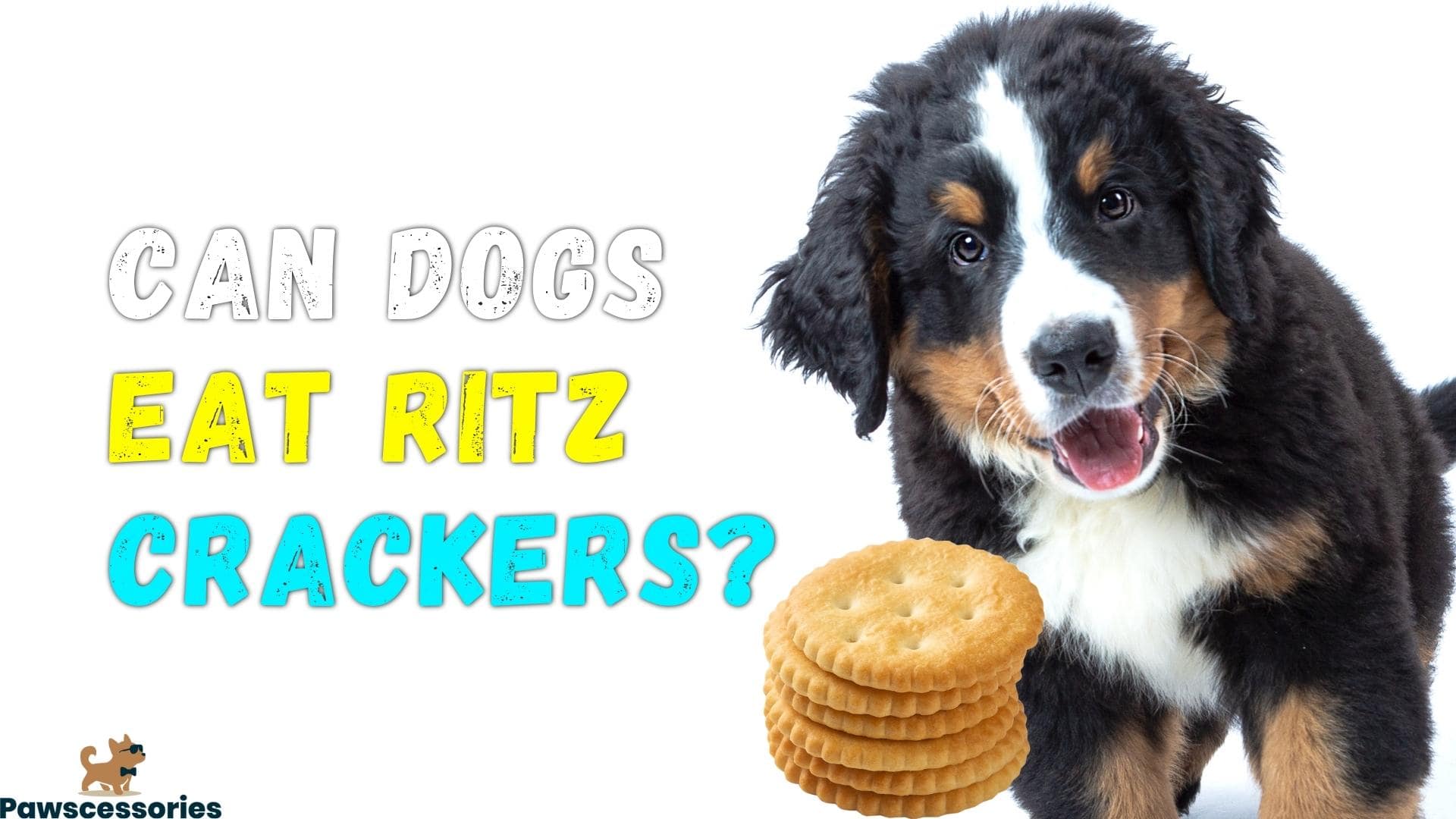 can dogs eat ritz crackers