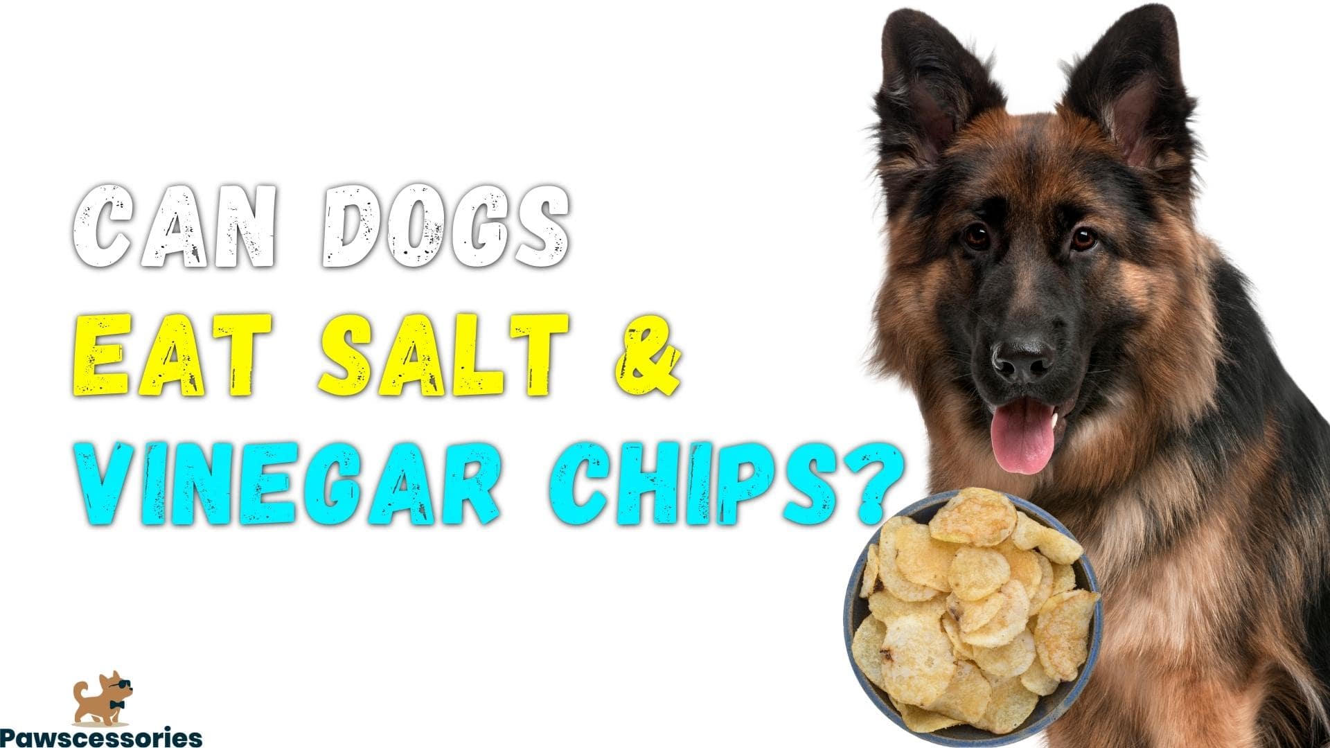 Can Dogs Eat Salt And Vinegar Chips? What You Need To Know