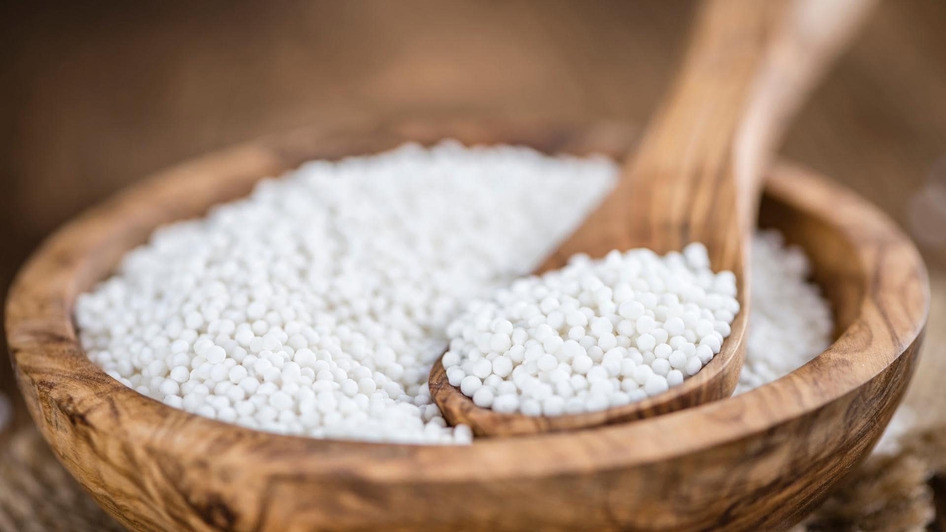 Can Dogs Eat Tapioca Health Benefits Dangers We Asked A Vet 