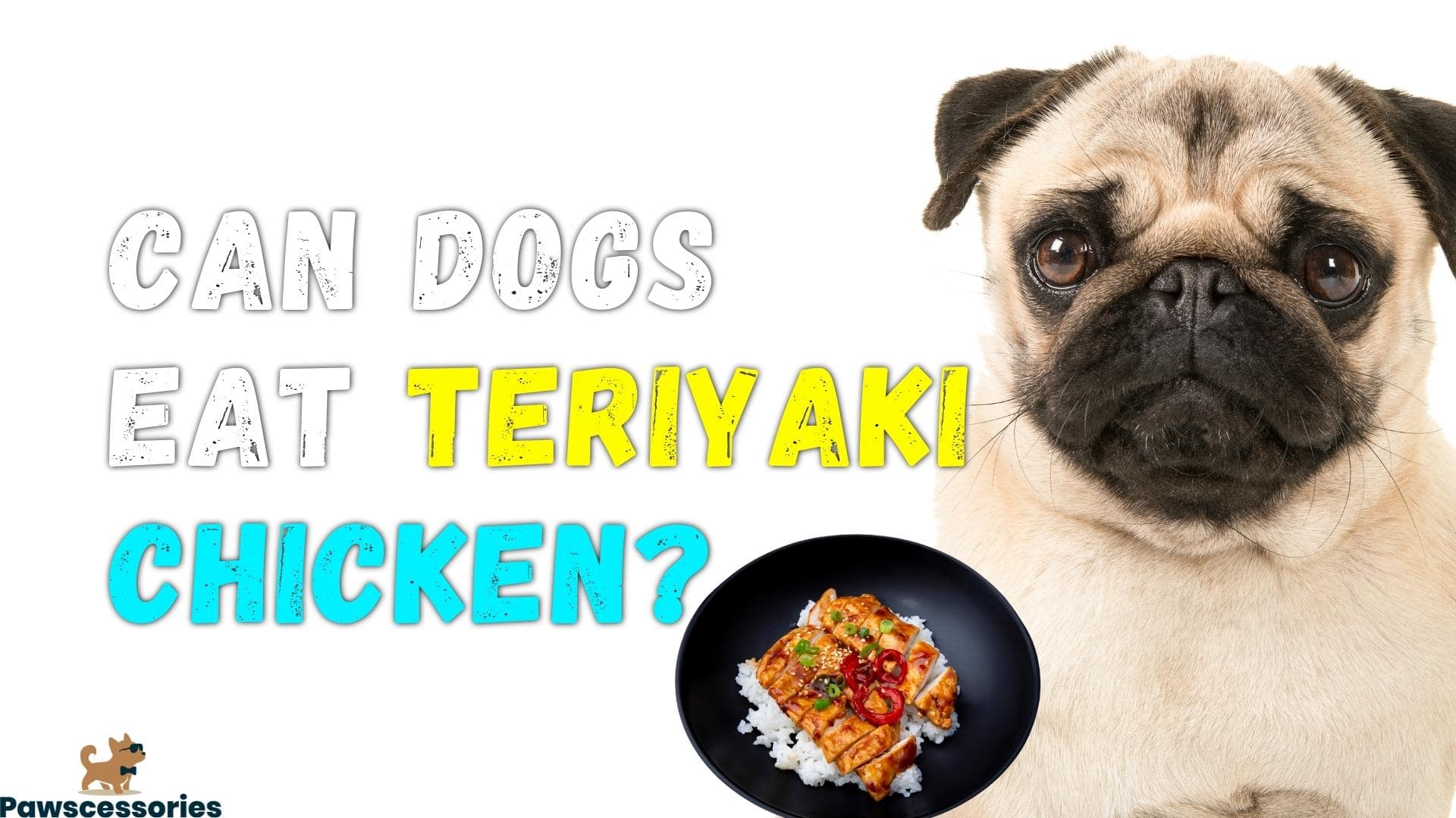 Can Dogs Eat Teriyaki Chicken? Can Dogs Eat Teriyaki Sauce?