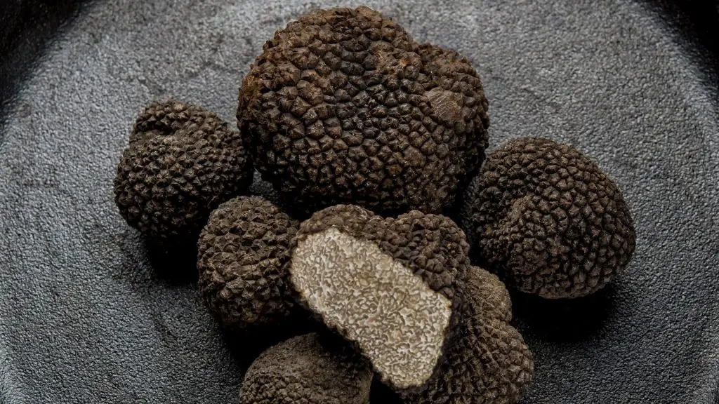 can dogs eat truffles