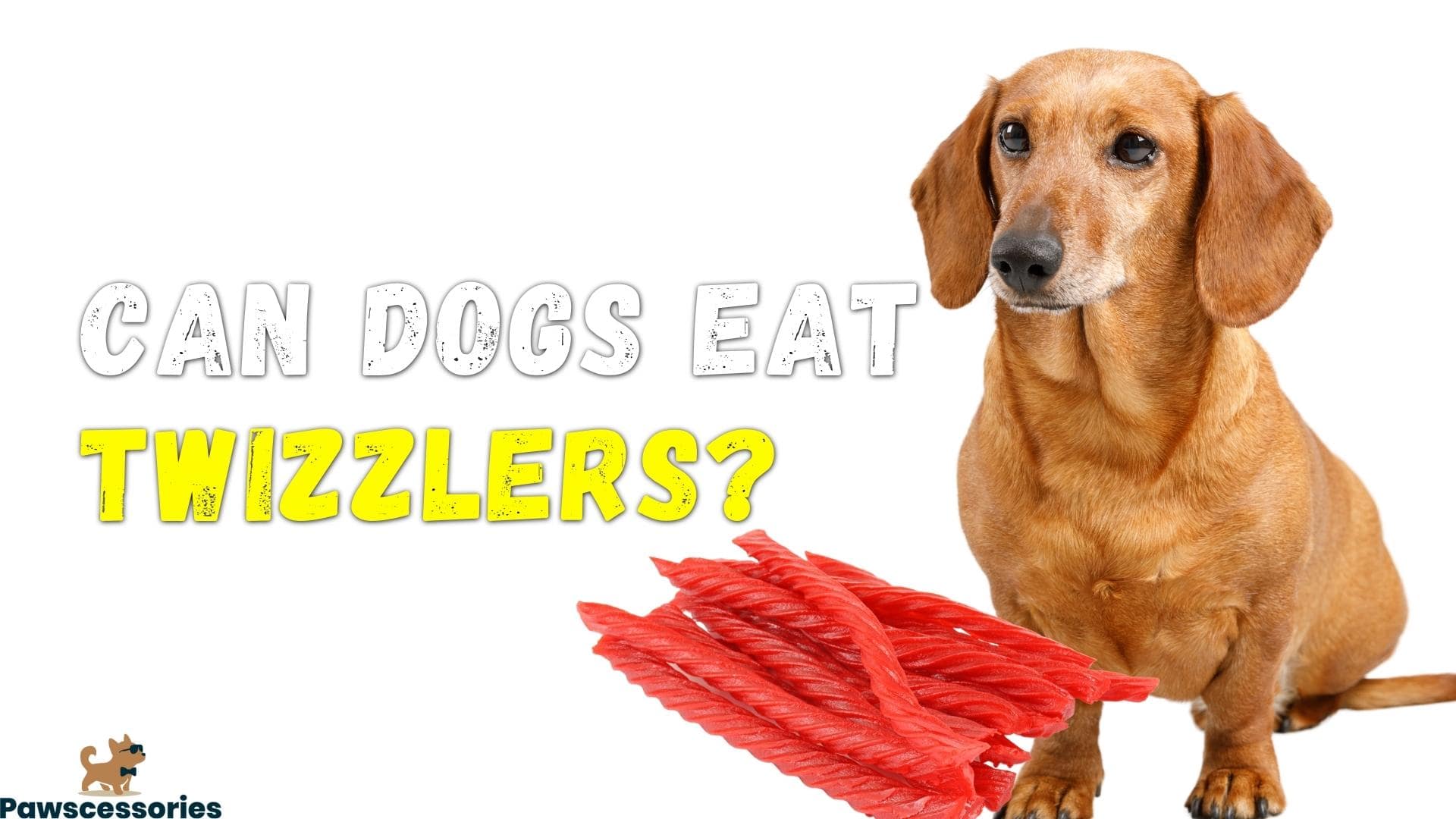 Can Dogs Eat Twizzlers? Are Twizzlers Safe? (Vet Answers)