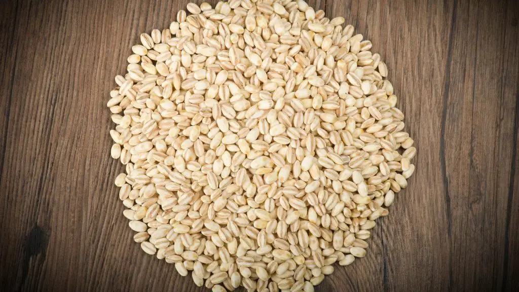 farro starch