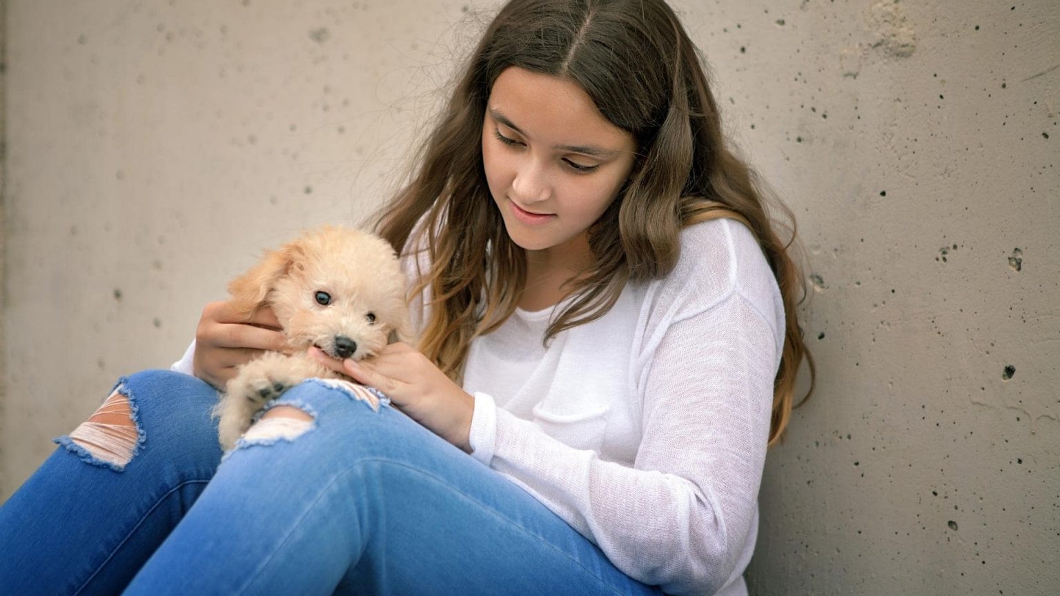 My Puppy Won't Stop Biting Me I've Tried Everything!