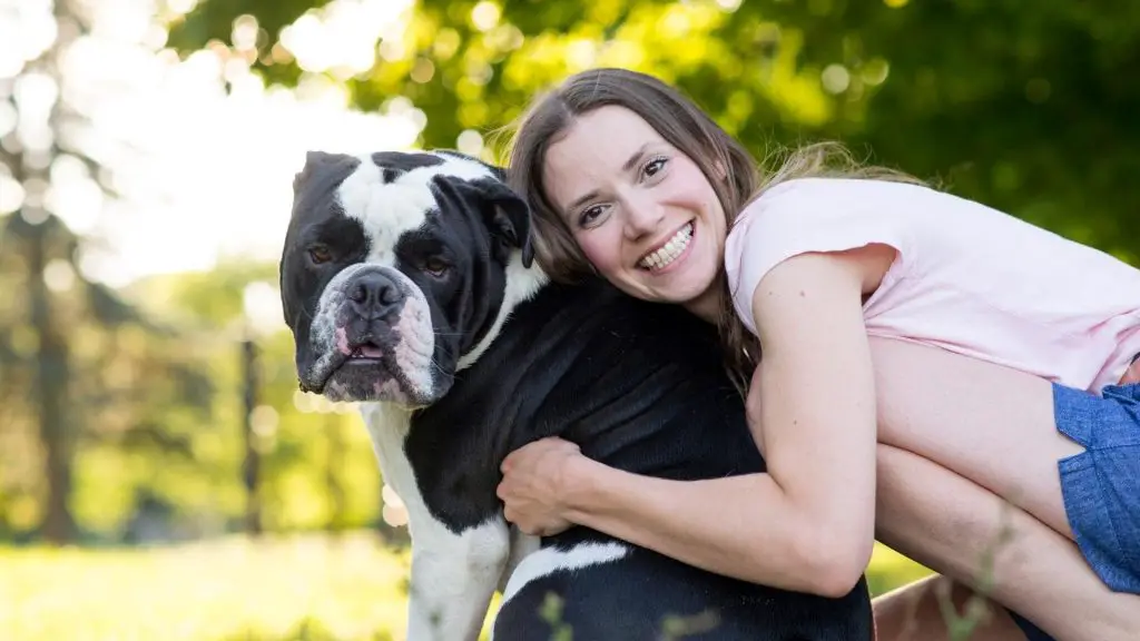 english bulldog and owner