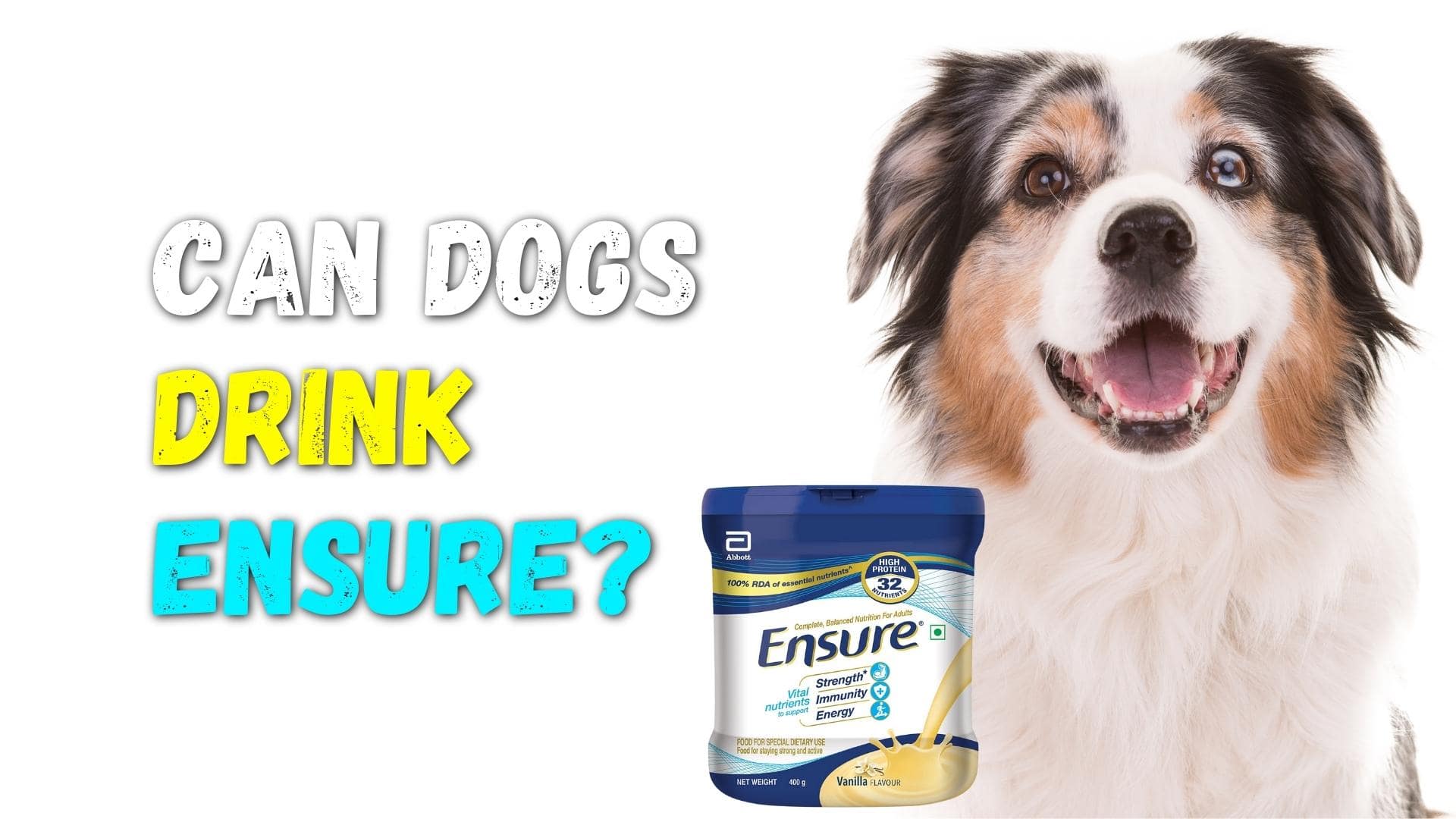 Ensure For Dogs: Can Dogs Drink Ensure? (We Asked A Vet)