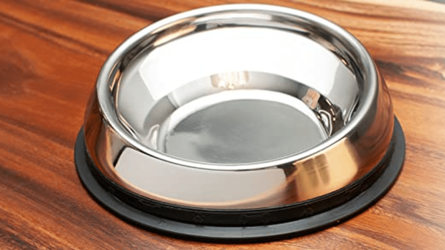 5 Best Dog Bowls For FlatFaced Dogs 2022 Guide)