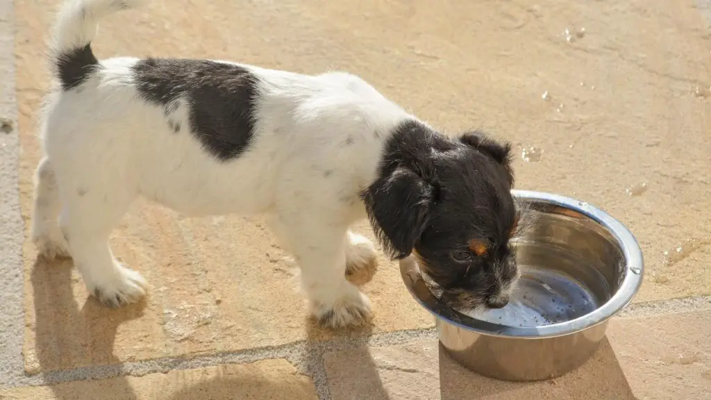 control water intake