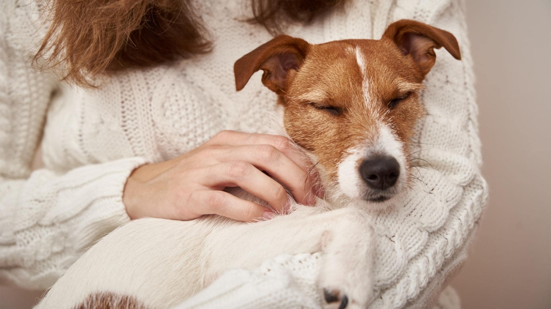 Why Does My Dog Lay On Me? 9 Reasons Why Dogs Do this