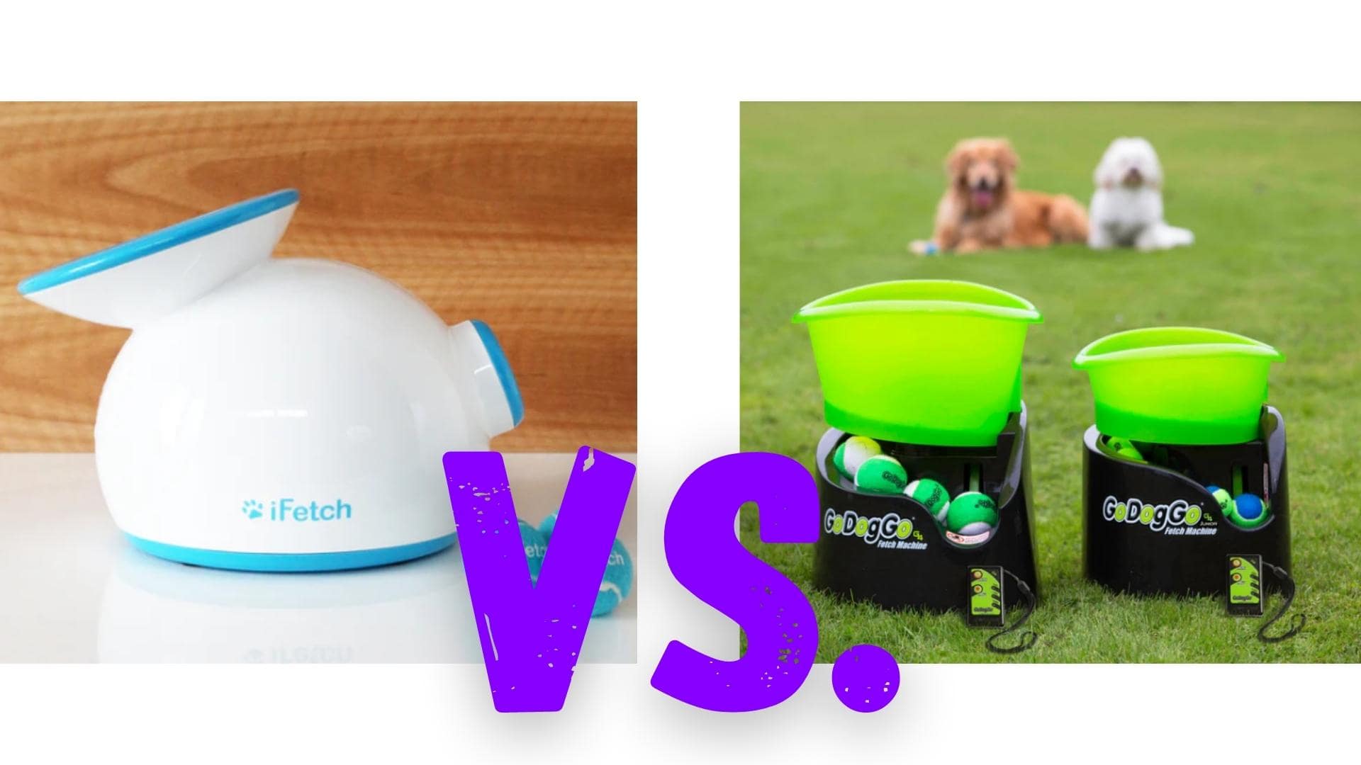 iFetch Vs. GoDogGo: Which Is The Better Ball Launcher?