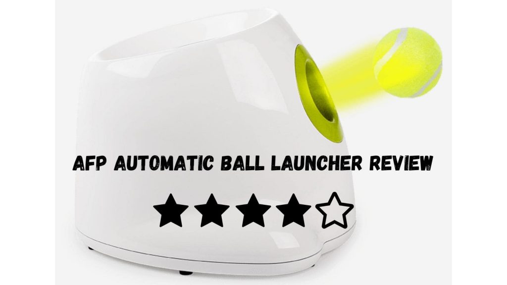 AFP Automatic Dog Ball Launcher Review
