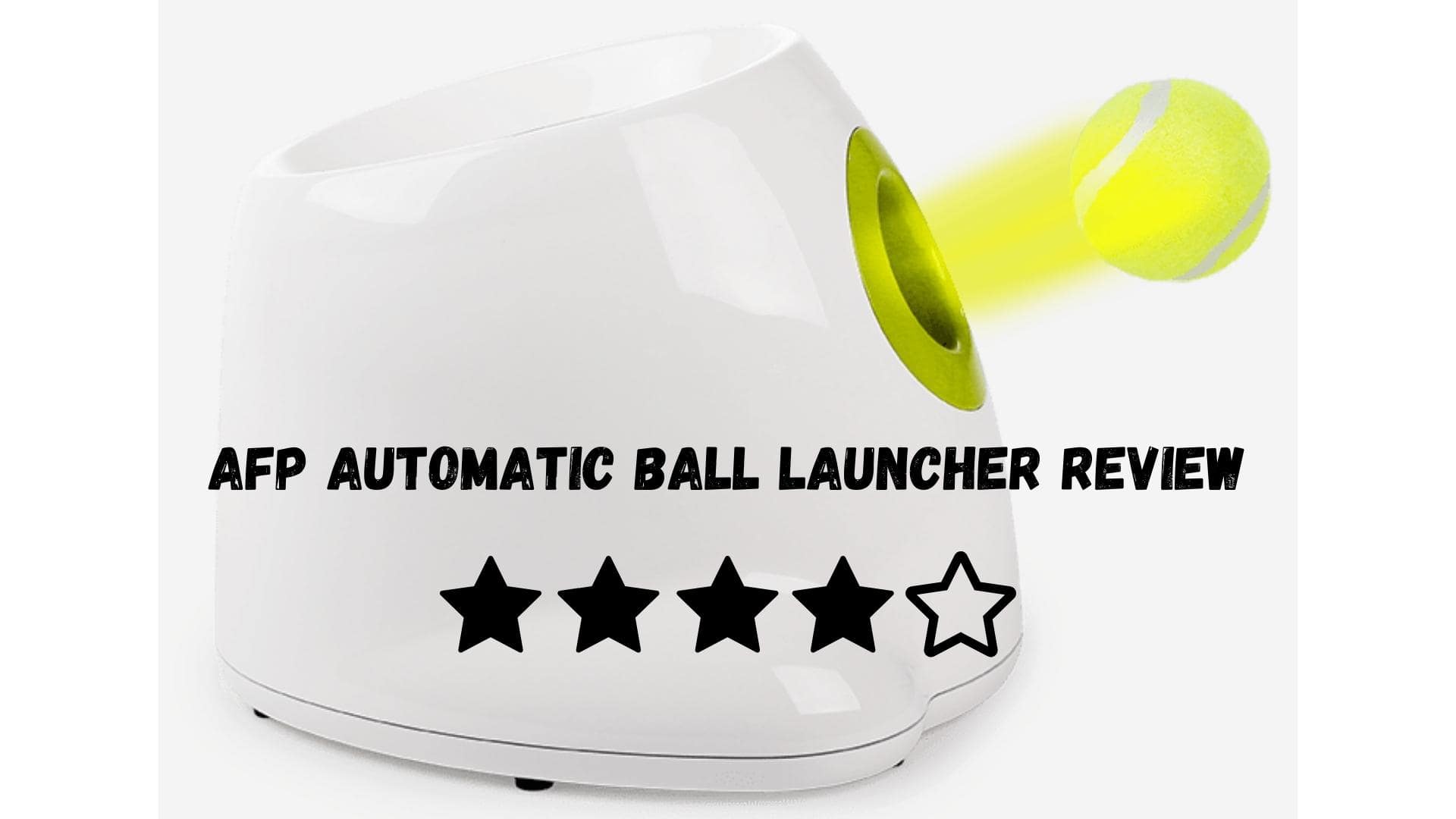 AFP Automatic Dog Ball Launcher Review [2022 Update]