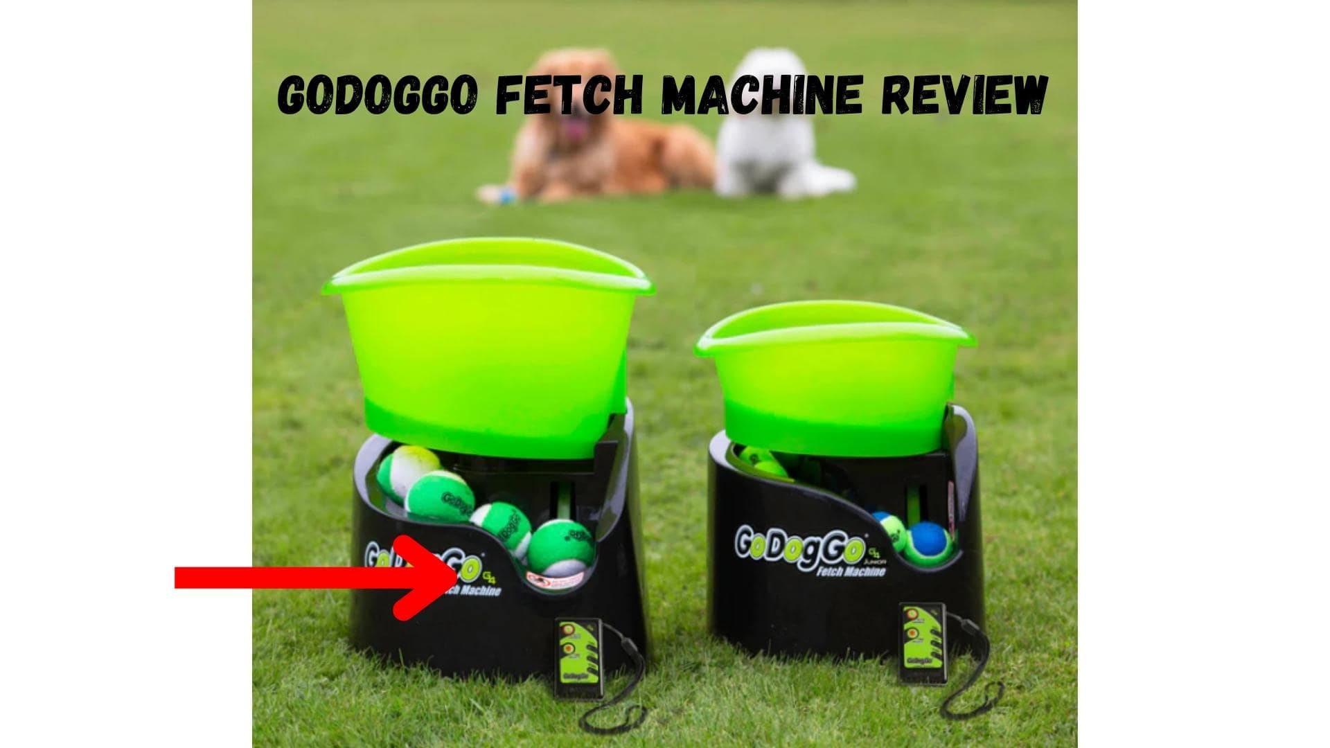 GoDogGo Fetch Machine Review: Good Or Bad Ball Launcher?