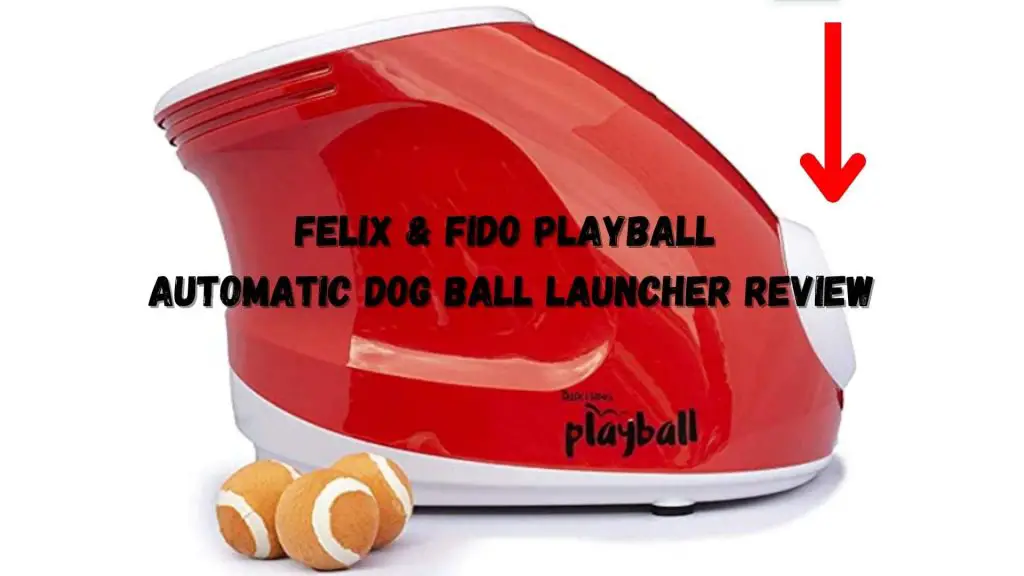 Felix & Fido Playball Automatic Dog Ball Launcher Review